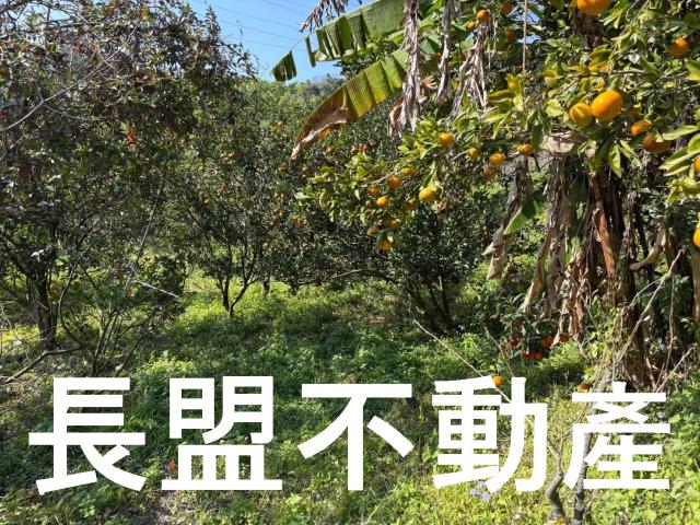 東勢休閒地-8
